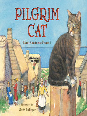 cover image of Pilgrim Cat